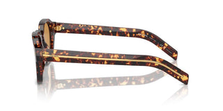 Prada Pr A16s Men Havana Squared Sunglasses