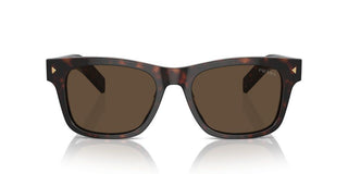 Prada Pr A17s Men Havana Squared Sunglasses