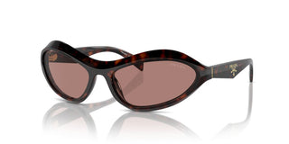 Prada Pr A20s Women Havana Cat Eye Sunglasses