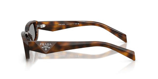 Prada Pr B06s Women  Rectangle Sunglasses