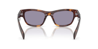 Prada Pr B09s Women Brown Butterfly Sunglasses