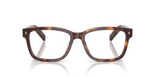 Prada Pr B10v Men Havana  Eyeglasses