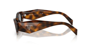 Prada Pr B16s Women Havana Cat Eye Sunglasses