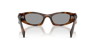 Prada Pr B16s Women Havana Cat Eye Sunglasses