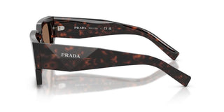 Prada Pr B17s Men Havana Rectangle Sunglasses