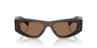 Prada Pr B19s Men Havana Squared Sunglasses