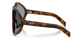 Prada Pr B21s Women Havana Butterfly Sunglasses