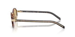 Prada Pr B56s Women Havana Round Sunglasses