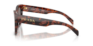 Prada PR C04S women Havana Geometric Sunglasses