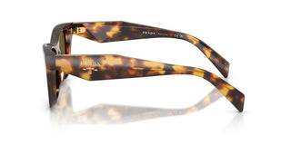 Prada PR C07S women Havana Squared Sunglasses