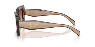 Prada PR D01S women Havana Squared Sunglasses