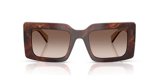 Prada PR D01S women Havana Squared Sunglasses