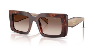 Prada PR D01S women Havana Squared Sunglasses