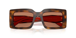 Prada Pr D01s Women Havana Squared Sunglasses