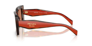 Prada Pr D01s Women Havana Squared Sunglasses