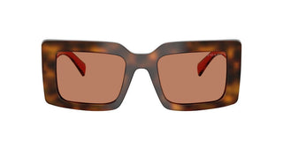 Prada Pr D01s Women Havana Squared Sunglasses