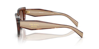 Prada PR D02S women Havana Cat Eye Sunglasses
