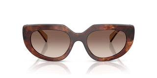 Prada PR D02S women Havana Cat Eye Sunglasses