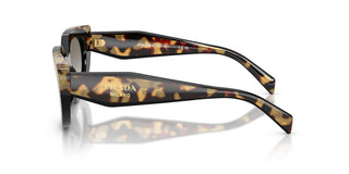Prada PR D02S women Black Cat Eye Sunglasses