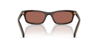 Prada PR D05S women Brown Rectangle Sunglasses