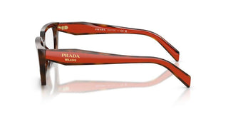 Prada PR D05V women Havana Butterfly Eyeglasses