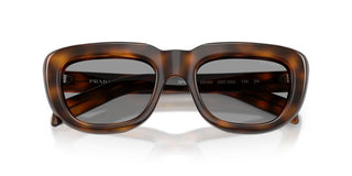 Prada PR D07S women Havana Cat Eye Sunglasses