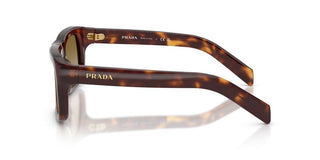 Prada PR D11S men Havana Rectangle Sunglasses