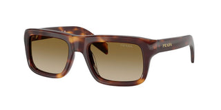 Prada PR D11S men Havana Rectangle Sunglasses