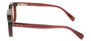 PAUL SMITH PS26602S PEDLEY unisex Brown Round Sunglasses