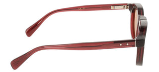 PAUL SMITH PS26602S PEDLEY unisex Brown Round Sunglasses