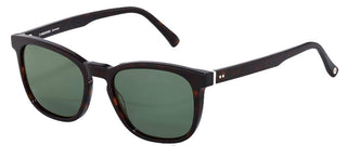 Rodenstock R3319 men Havana Geometric Sunglasses