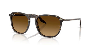 Ray-Ban RB 2203 unisex 0 Squared Sunglasses