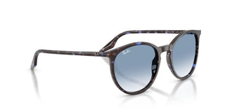 Ray-ban Rb 2204 Unisex Blue  Sunglasses