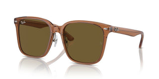 Ray-ban Rb 2206d Unisex Brown Squared Sunglasses