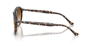 Ray-Ban RB 2215 unisex 0 Sunglasses