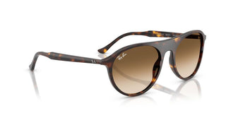 Ray-ban Rb 2215 Unisex Brown  Sunglasses
