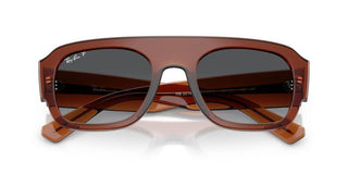 Ray-Ban RB 2218 unisex Brown Pilot Sunglasses