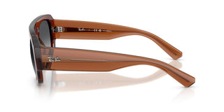 Ray-Ban RB 2218 unisex Brown Pilot Sunglasses