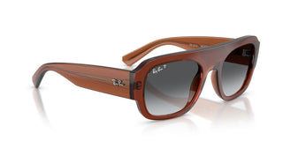 Ray-Ban RB 2218 unisex Brown Pilot Sunglasses