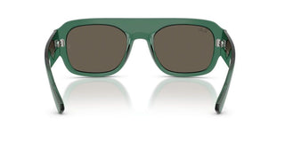 Ray-Ban RB 2218 unisex Green Pilot Sunglasses