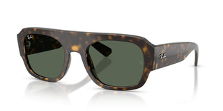 Ray-Ban RB 2218 unisex Havana Pilot Sunglasses