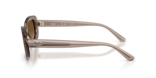 Ray-ban Rb 2221 Women Brown Oval Sunglasses