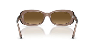 Ray-ban Rb 2221 Women Brown Oval Sunglasses