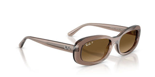 Ray-ban Rb 2221 Women Brown Oval Sunglasses