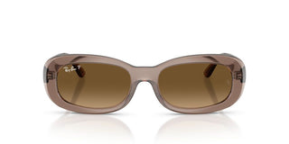 Ray-ban Rb 2221 Women Brown Oval Sunglasses