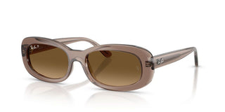 Ray-ban Rb 2221 Women Brown Oval Sunglasses