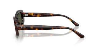 Ray-Ban RB 2221 women Havana Oval Sunglasses