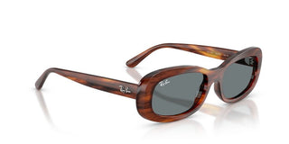 Ray-Ban RB 2221 women Havana Oval Sunglasses