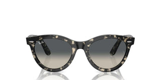 Ray-ban Rb 2241 Unisex Havana Squared Sunglasses