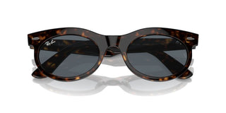 Ray-ban Rb 2242 Unisex Havana Squared Sunglasses